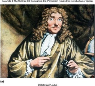 Portrait of Antoni van Leeuwenhoek holding a microscope
