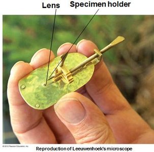 Reproduction of Leeuwenhoek's microscope
