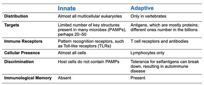 Table comparing innate and adaptive immunity