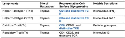 Table of T cell types and their features