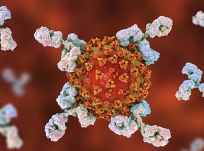 Table of antibody classes and their properties