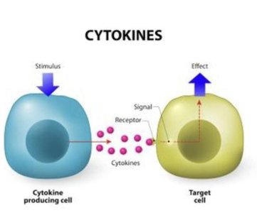 Table of selected immune response cytokines