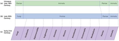 Changing classification of eukaryotes
