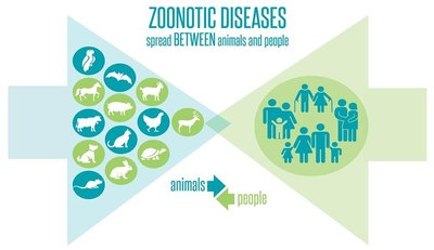 Zoonotic diseases spread between animals and people