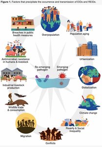 Factors that precipitate emerging and re-emerging diseases