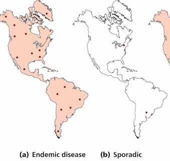 Endemic and sporadic disease distribution