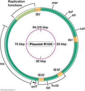Genetic Map of Resistance Plasmid R100