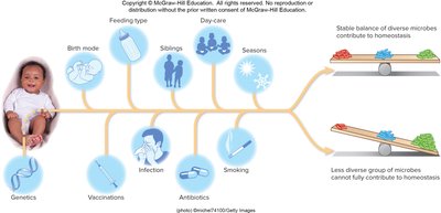 Factors influencing microbiome development and diversity