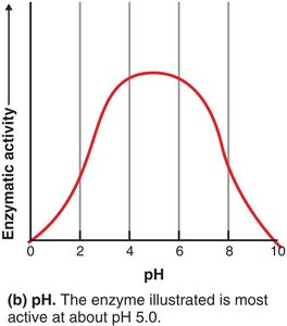 Effect of pH on enzyme activity