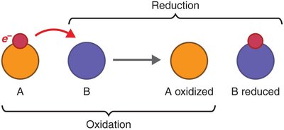 Oxidation-reduction reaction diagram