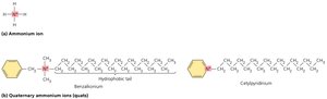 Quaternary Ammonium Compounds (Quats)