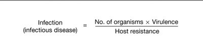 Equation for infection likelihood