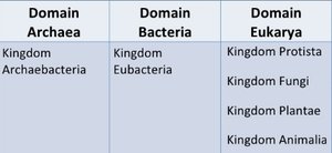 Three-domain classification table