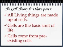 Cell theory summary