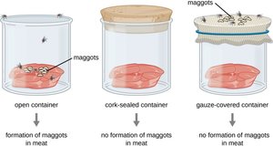 Redi's experiment: open, cork-sealed, and gauze-covered jars