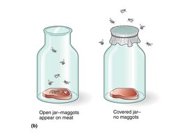 Redi's experiment: open vs. covered jars