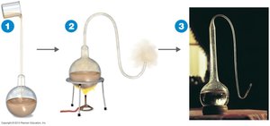 Pasteur's swan-neck flask experiment