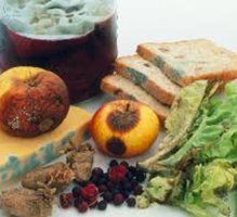 Spoiled food due to microbial activity