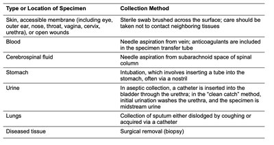 Streak plate method of isolation