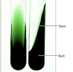 Defined medium ingredients
