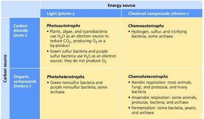 Table of nutritional types based on carbon and energy sources