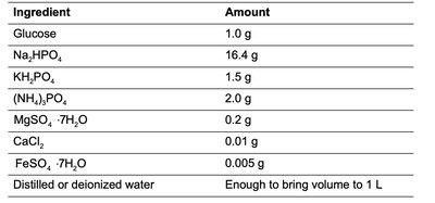 Blood agar hemolysis patterns