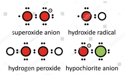 Toxic forms of oxygen