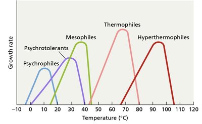 Temperature ranges for microbial growth