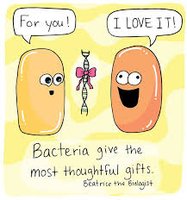 Cartoon of bacteria exchanging DNA as a gift
