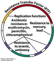 Diagram of resistance transfer factor (RTF) with resistance genes
