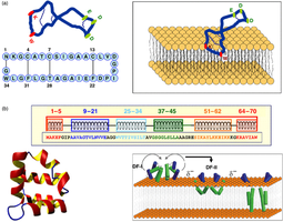 Structure and action of bacteriocins