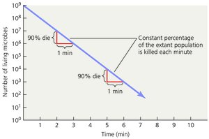 Plot of microbial death rate
