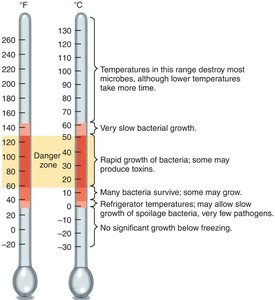 Thermometer chart showing temperature ranges for microbial growth and food safety