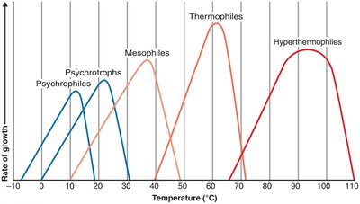Growth rate curves for psychrophiles, psychrotrophs, mesophiles, thermophiles, and hyperthermophiles