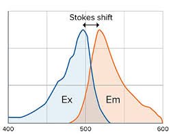 Stokes shift in fluorescence microscopy