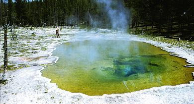 Hot spring environment where Thermus aquaticus is found