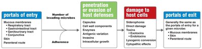 Diagram of portals of entry, host defense evasion, host cell damage, and portals of exit in infectious disease