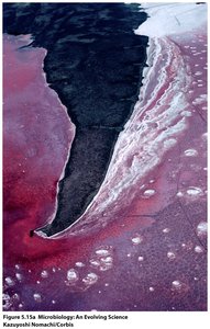 Alkaline environment