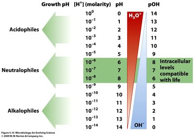 Growth pH ranges for acidophiles, neutrophiles, and alkalophiles