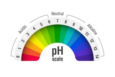 pH scale showing acidic, neutral, and alkaline ranges