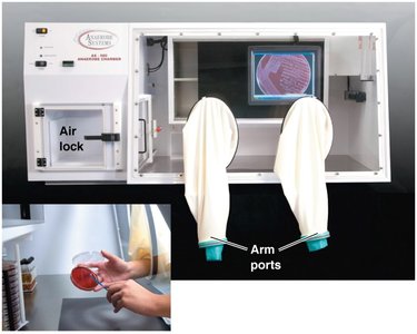 Anaerobic chamber for culturing anaerobic bacteria