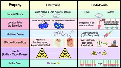 Exotoxins vs. Endotoxins comparison table
