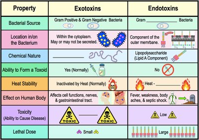 Exotoxins vs. Endotoxins comparison table