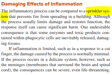 Damaging effects of inflammation