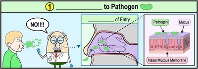 Exposure to pathogen via respiratory tract
