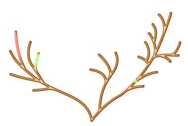 Three-domain system phylogenetic tree