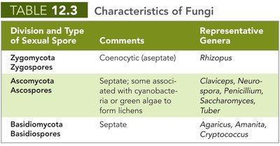 Algae classification