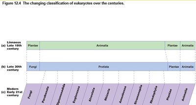 Changing classification of eukaryotes
