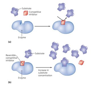 Competitive inhibition of enzyme activity