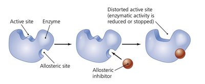 Noncompetitive inhibition at an allosteric site